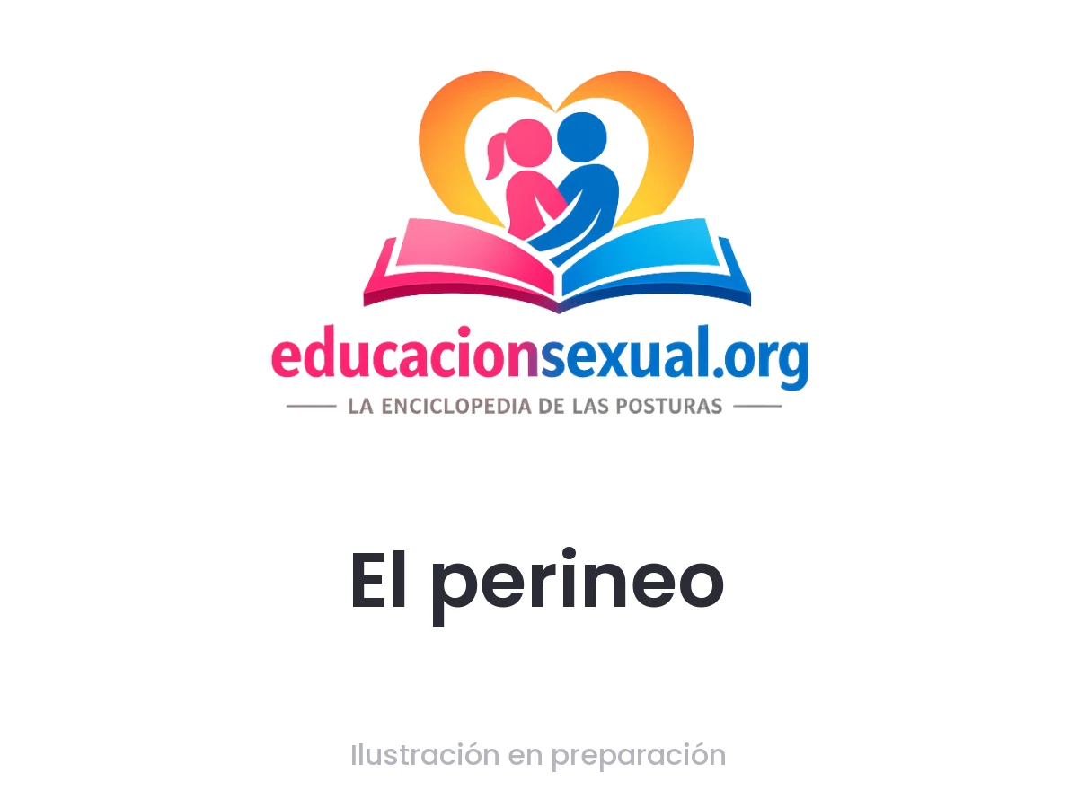 Posición sexual El perineo: Dado de costado en posición de cuchara, una pierna doblada, el perineo es estimulado con movimientos suaves y ritmados. La presión y el ángu