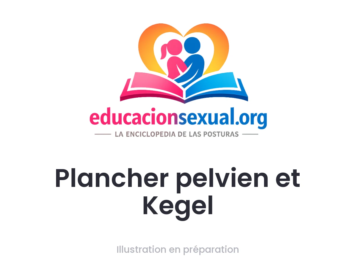 Position sexuelle Plancher pelvien et Kegel
